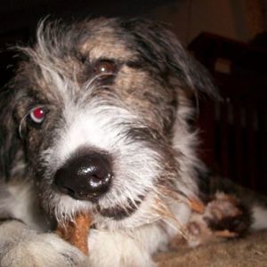 Meet your Posher, Cathy